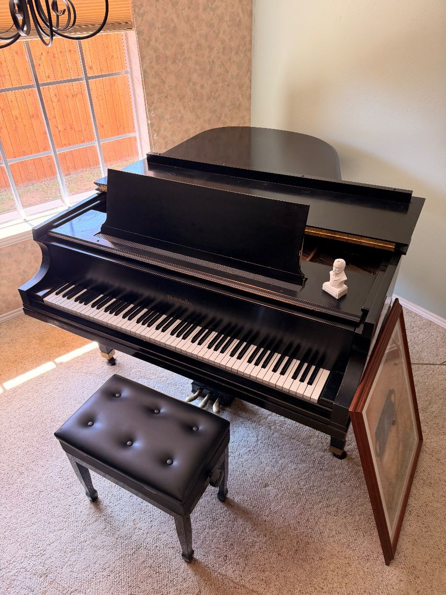 Middle of Arlington Mid-Century Modern Estate Sale by James Major Estate Sales — estate sale item photo 6