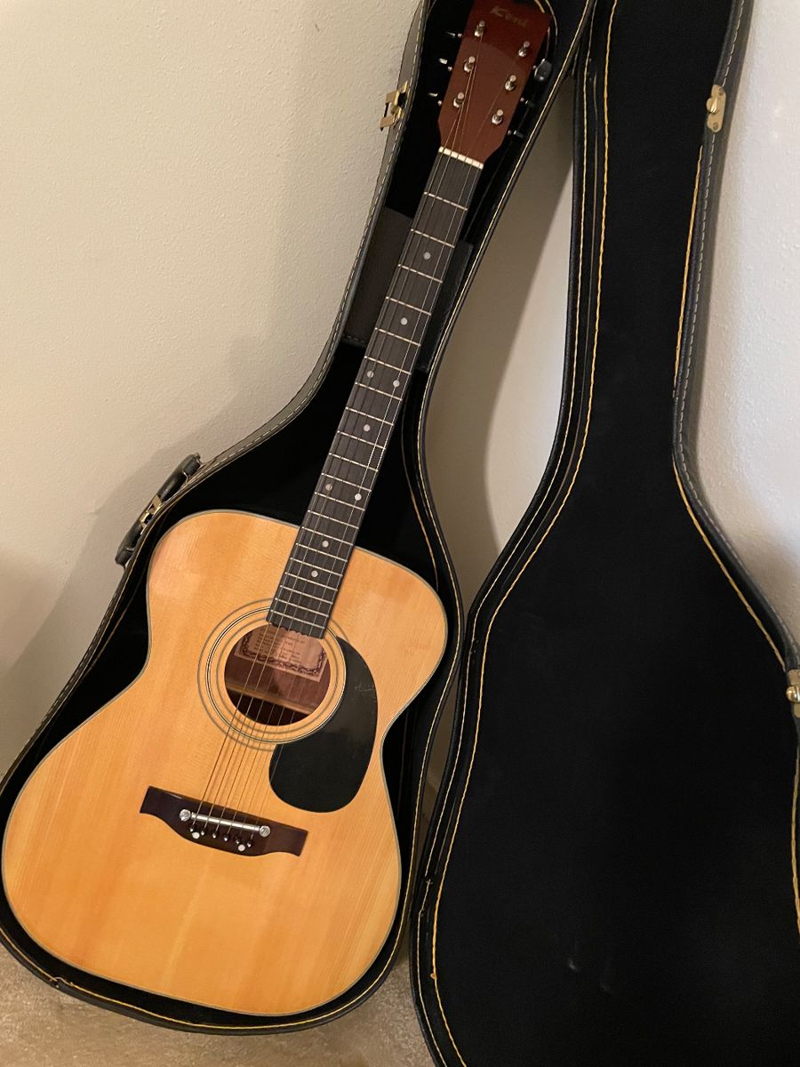 Acoustic guitar in a hard case