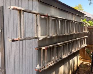 Aluminum extension ladders hanging on a shed wall