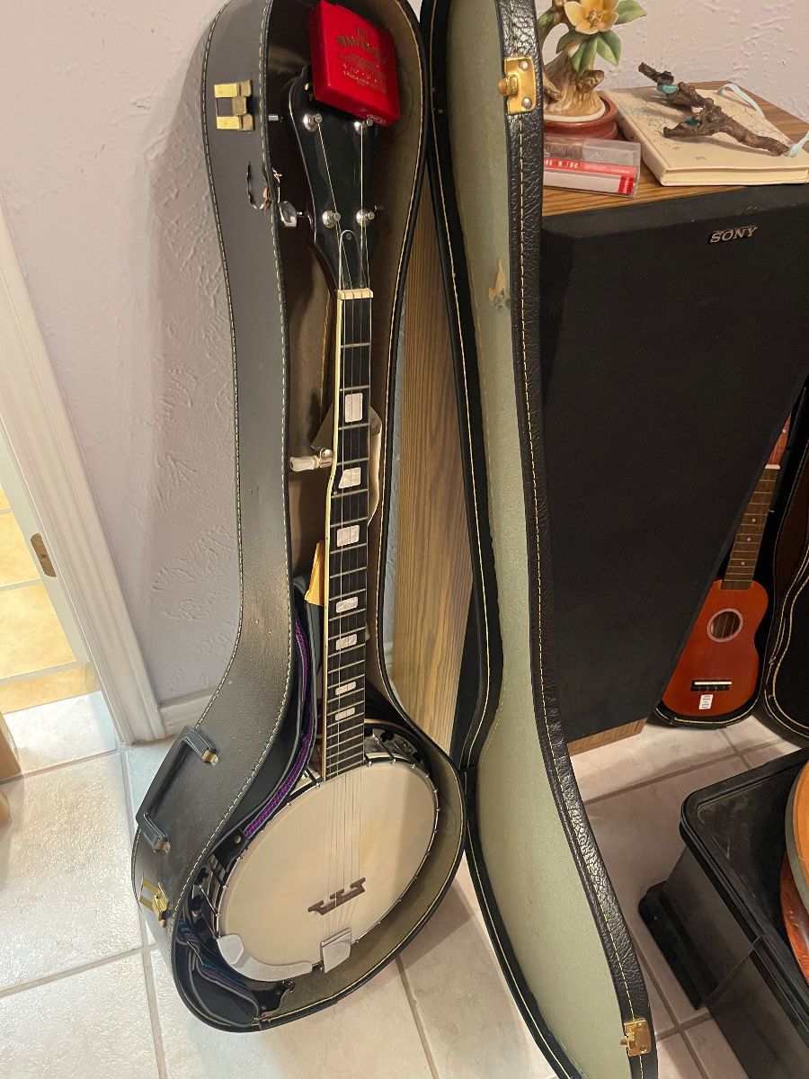 Banjo in an open case
