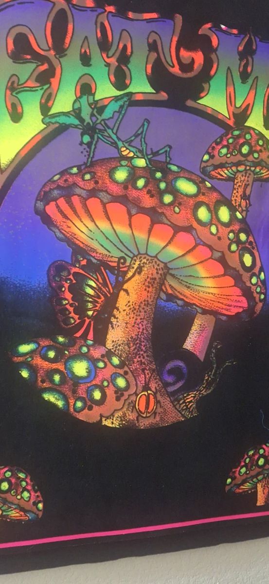 Blacklight mushroom poster