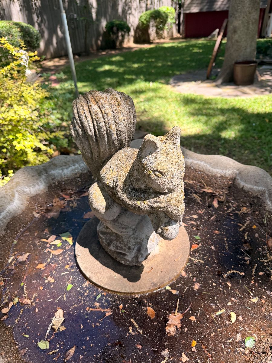 Cement squirrel birdbath yard art