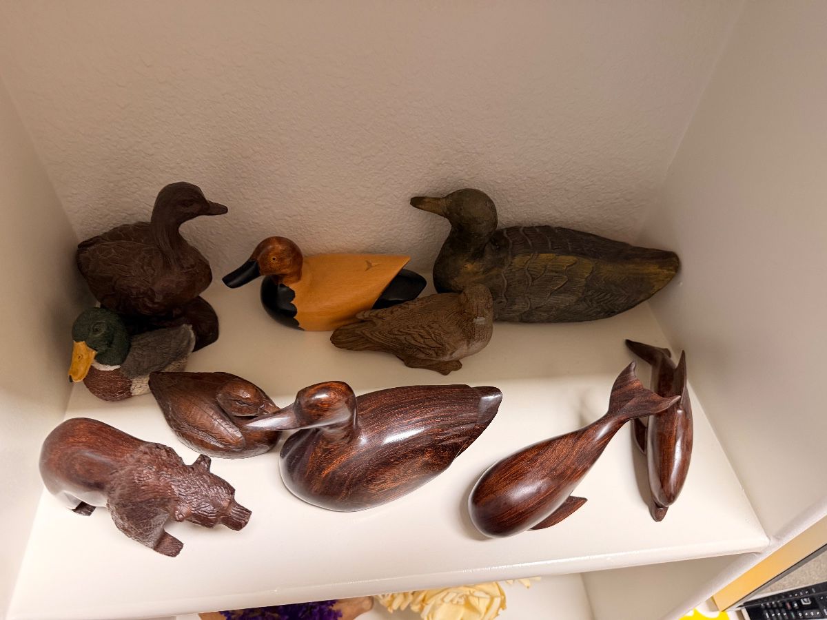 Collection of carved wooden duck decoys