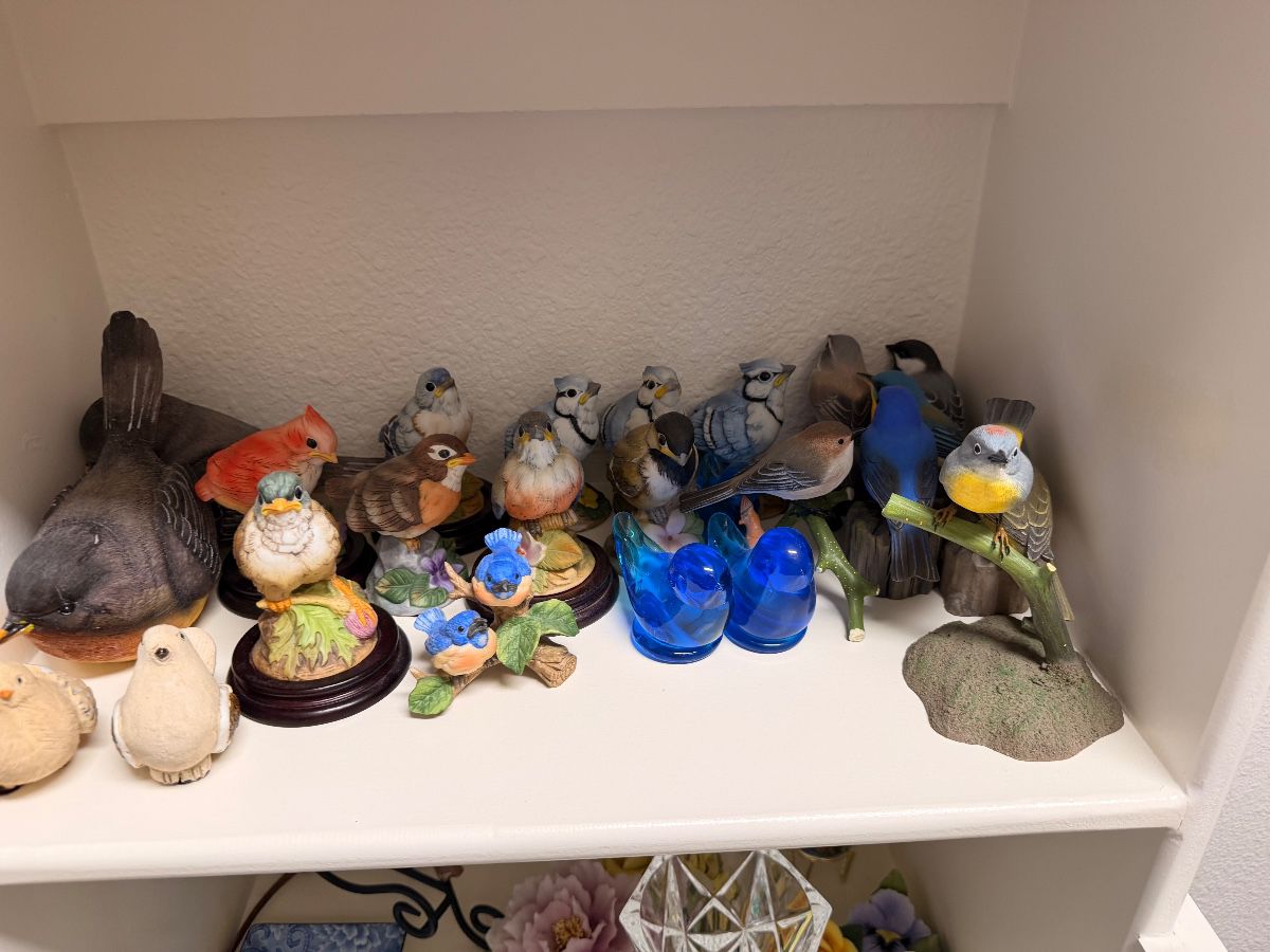 Collection of porcelain songbird and duck figurines on a shelf