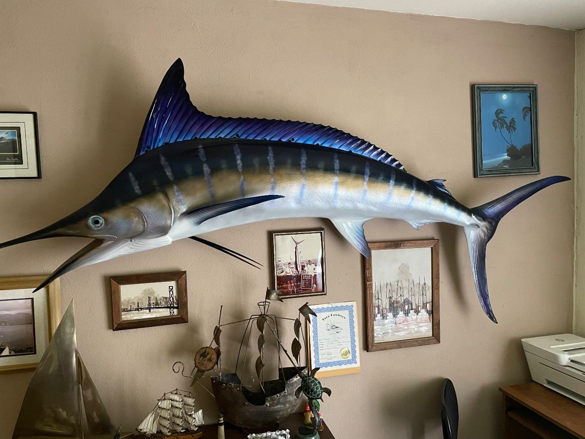 Mounted blue marlin above framed art