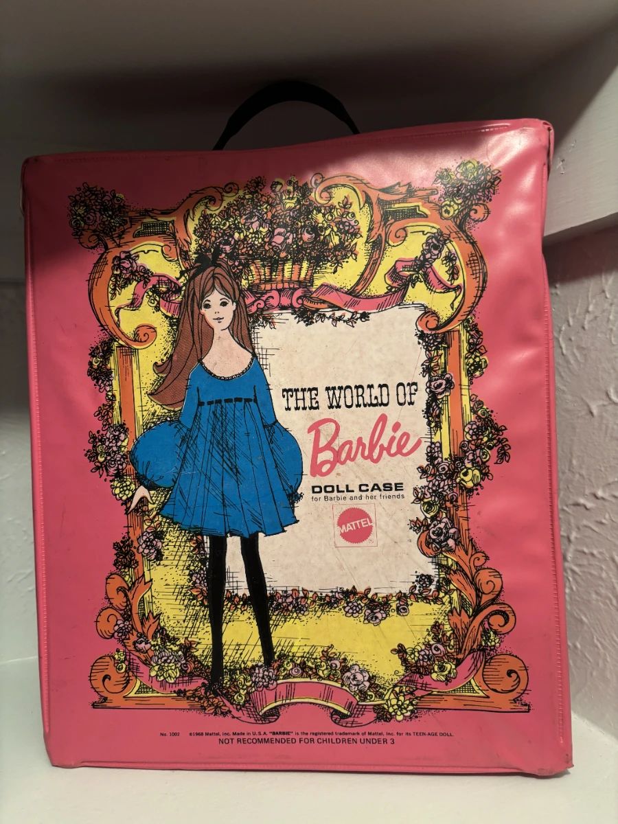 The World of Barbie pink doll case